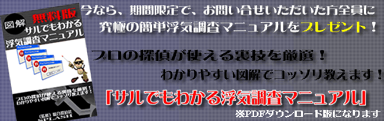 �T���ł��킩�镂�C�����}�j���A��